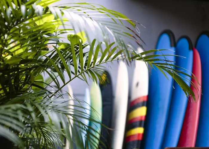 Surfers House *