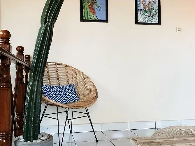 Surfers House بيت ضيافة كوتا