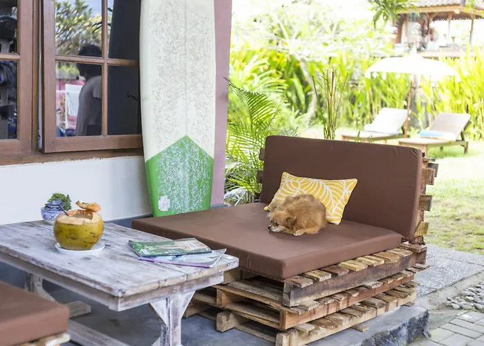Surfers House كوتا