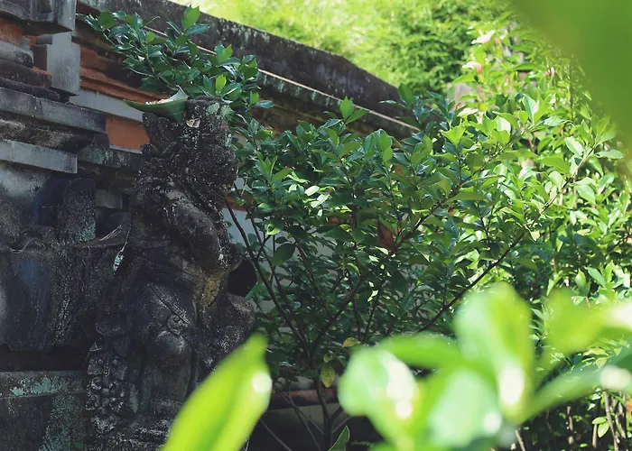 بيت ضيافة Surfers House