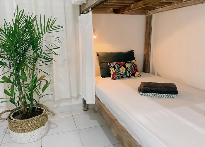 Surfers House