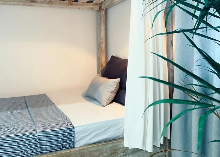 Surfers House