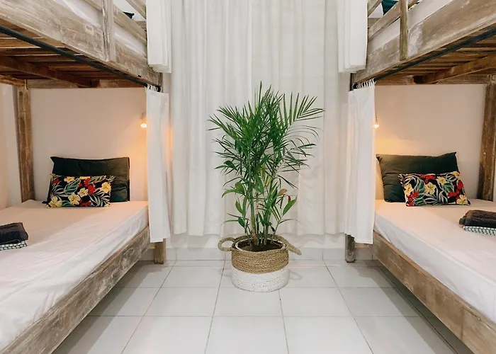 Surfers House * كوتا